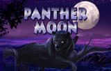 Игровой автомат Panther Moon