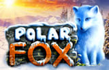 Игровой автомат Polar Fox